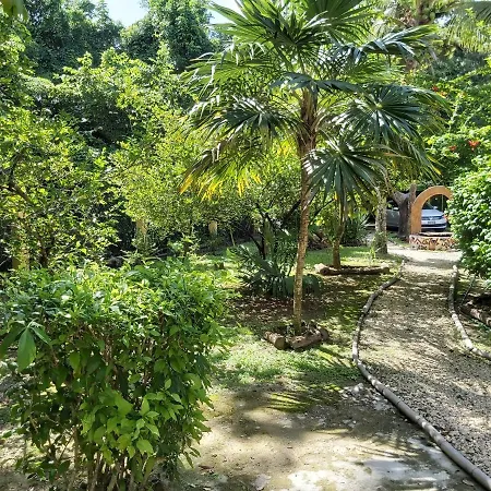 Mini Pini Bird Watching And Cenote Loft Vila