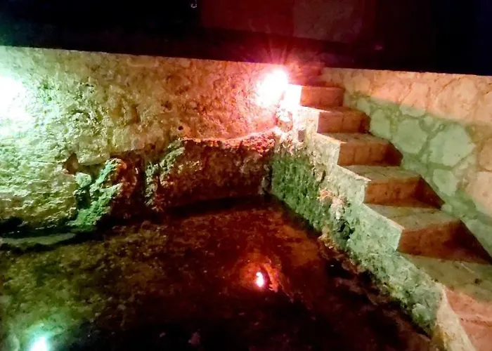 Mini Pini Bird Watching And Cenote Loft Villa