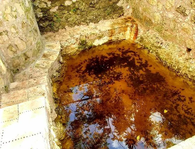 Villa Mini Pini Bird Watching And Cenote Loft *