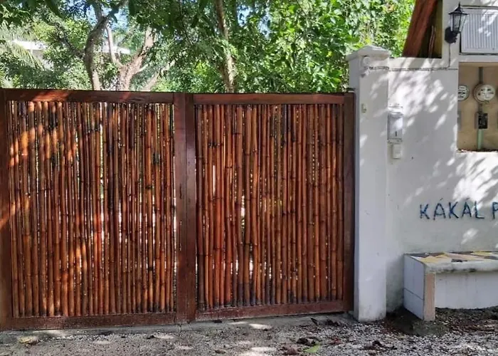 Mini Pini Bird Watching And Cenote Loft