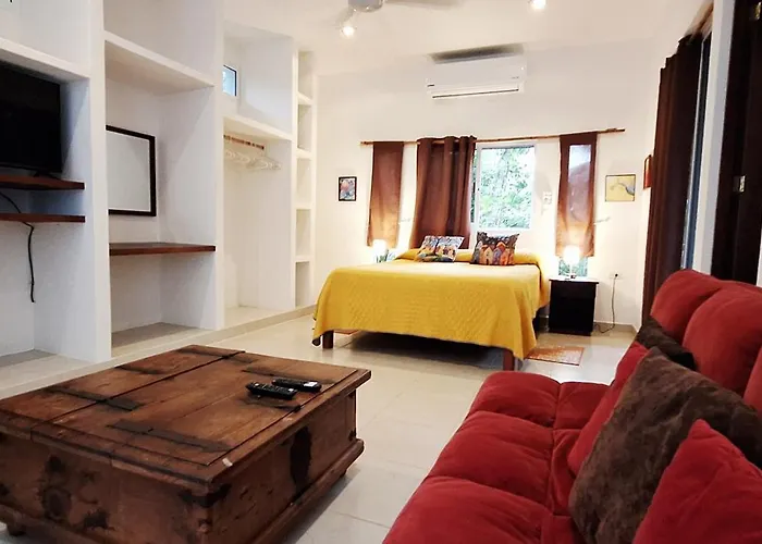 Mini Pini Bird Watching And Cenote Loft Villa Cozumel