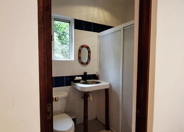Villa Mini Pini Bird Watching And Cenote Loft Cozumel
