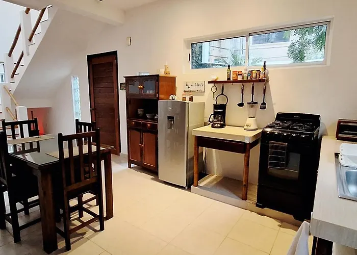 Villa Mini Pini Bird Watching And Cenote Loft Cozumel