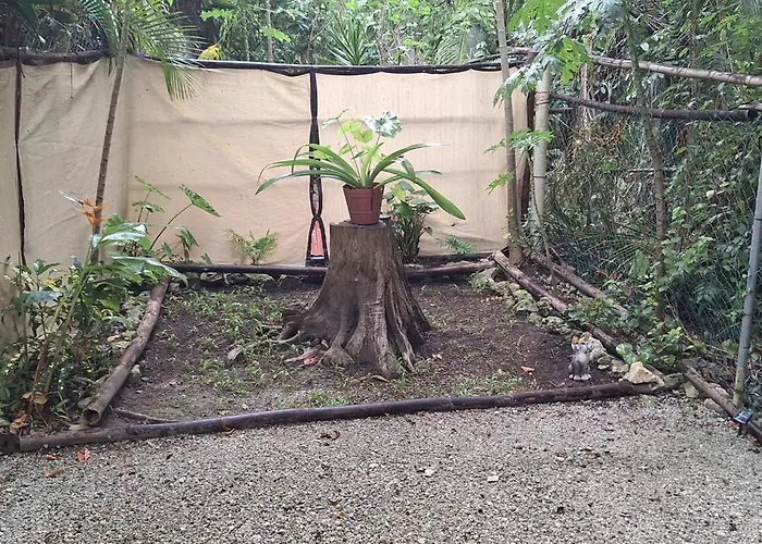 Mini Pini Bird Watching And Cenote Loft *