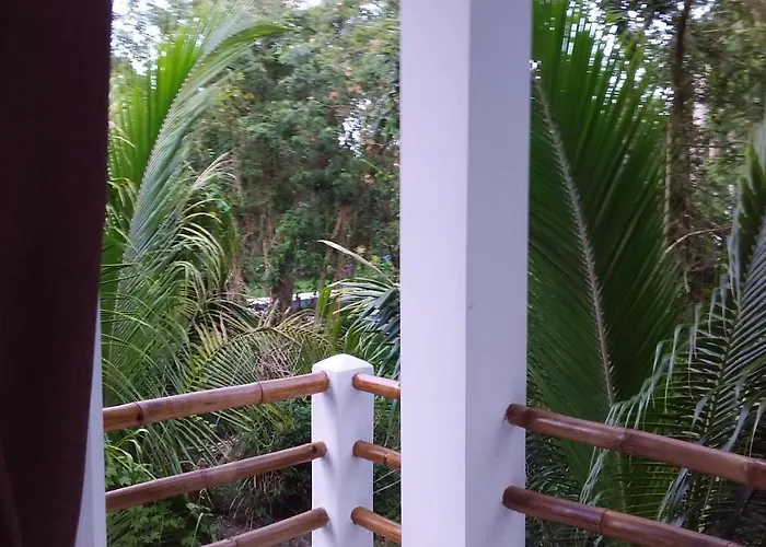 Villa Mini Pini Bird Watching And Cenote Loft *