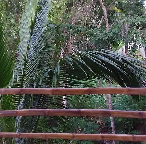 Mini Pini Bird Watching And Cenote Loft Cozumel