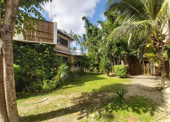 Mini Pini Bird Watching And Cenote Loft Villa Cozumel