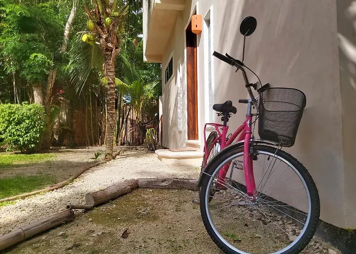 Mini Pini Bird Watching And Cenote Loft Villa *