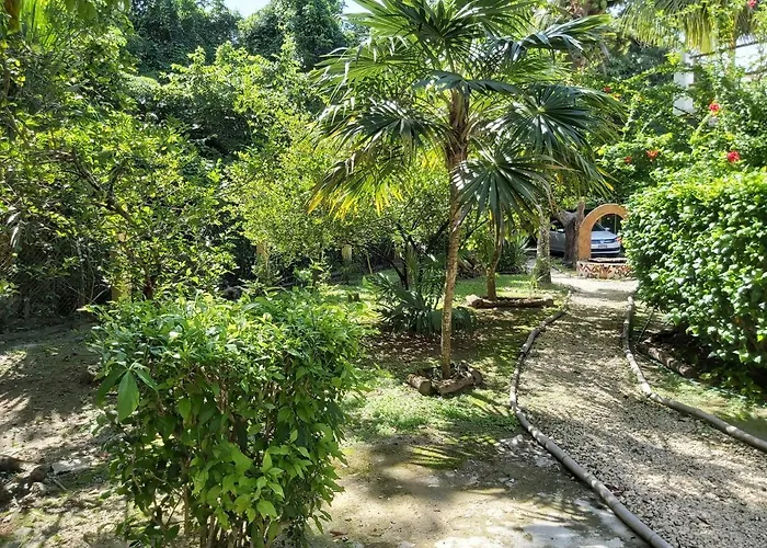 Mini Pini Bird Watching And Cenote Loft * Cozumel